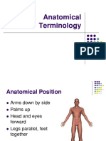 Anatomical Terminology