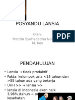 Posyandu Lansia