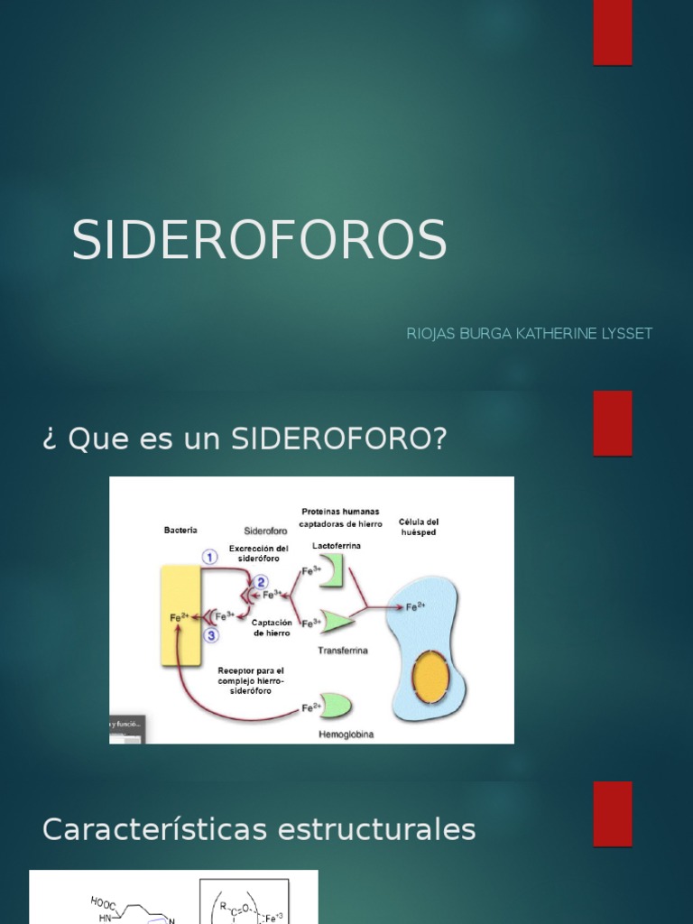 SIDEROFOROS PDF