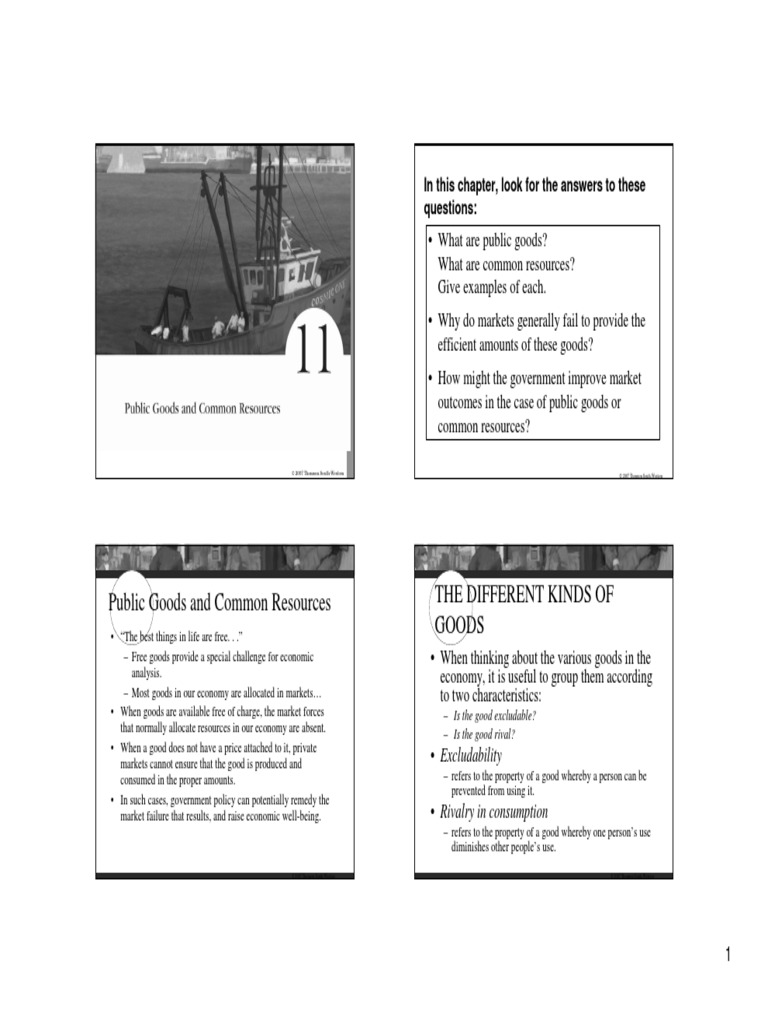 Public Goods and Common Resources The Different Kinds of Goods | PDF ...