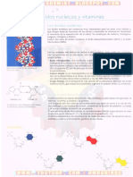 Ácidos Nucleicos y Vitaminas PDF