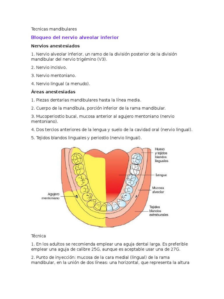 Técnicas de Anestesia Mandibular | PDF | Anatomia animal | Anatomía humana