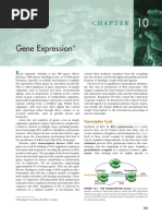 CH 10 Gene Expression