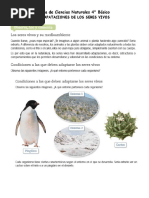 Guia Adaptacion de Los Seres Vivos 4°