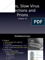 Rabies (2).ppt