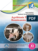 Agribisnis Ternak Ruminansia Perah 1