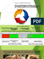 Ciclo Menstrual y Sus Caracteristicas