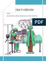 Anestesia y CirugÃ-A