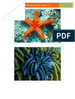 Echinoderms For Dummies