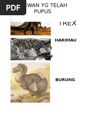 Unduh 56 Koleksi Gambar Harimau Bertaring Lengkung Terbaik Gratis