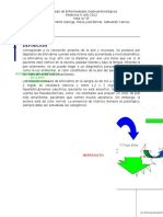 Transcripción Ictericia.