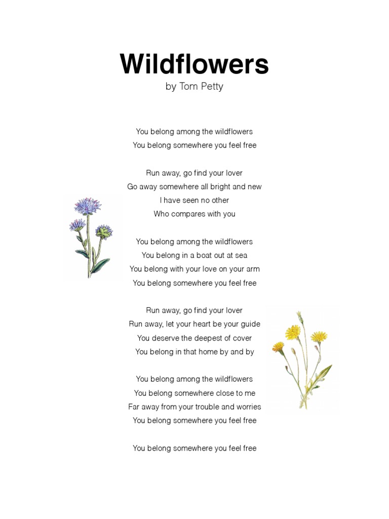 Wildflowers