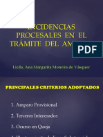 IncidenciasMargaritaMonzon.pdf
