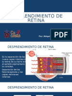 Desprendimiento de Retina