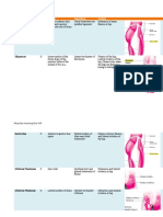 Muscle S/D Origin Insertion Action: Rectus Femoris