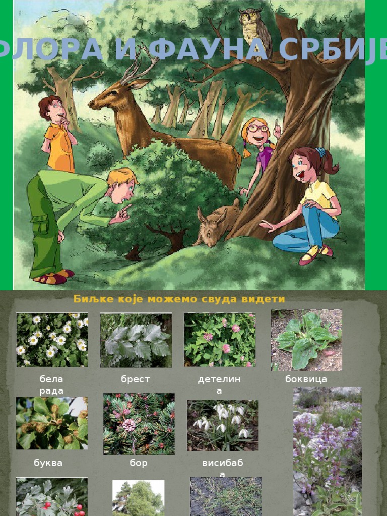 Flora I Fauna Srbije | PDF
