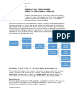 Anatomy of Structure Related To Parkinson Disease