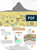 Petrole Web PDF