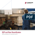 bop-riser-recertification-br (1).pdf