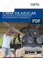cana_de_azucar.pdf