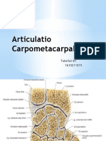 Articulatio Carpometacarpal