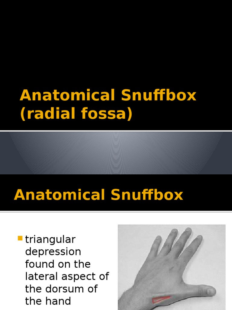 Anatomical Snuffbox: Borders and Tendons | PDF | Social Science
