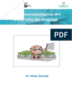 Bases Neurologicas Del Desarrollo Del Lenguaje