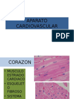 Aparato Cardiovascular