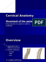 Cervical Spine