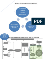 Estrategia Empresarial y Gestión de Ayudas