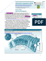 Membranacelular 150111161609 Conversion Gate02 PDF