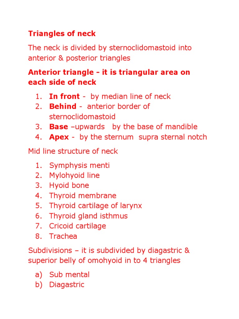 Triangles of Neck PDF Common Carotid Artery Neck
