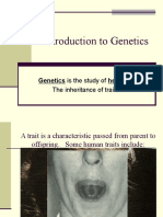 ppt intro to genetics b6 d b6 f