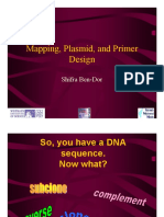 Mapping and primer design for plasmid sequences