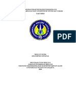 Laporan Uji Pendahuluan Dan Uji Definitif