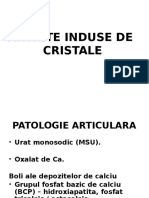 Curs Artrite Cristaline 2017