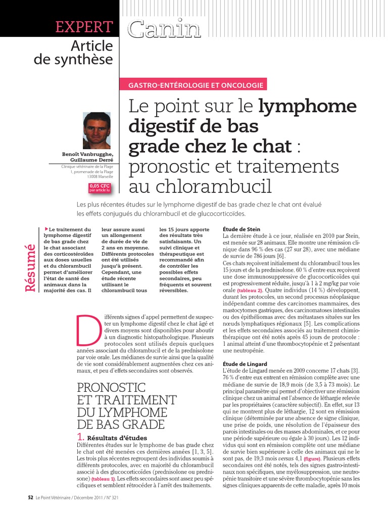 Lymphome Chat Vitamine B12 Specialites Medicales