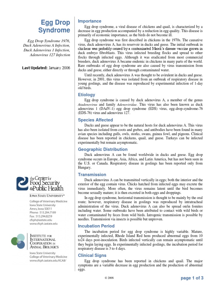 Egg Drop Syndrome Adenoviridae Virus