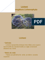 0 Licheni