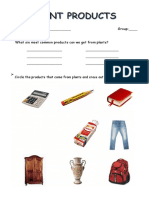 Plant Products Worksheet