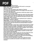 Download Wrist Dislocation by bhavesh jain SN3424895 doc pdf