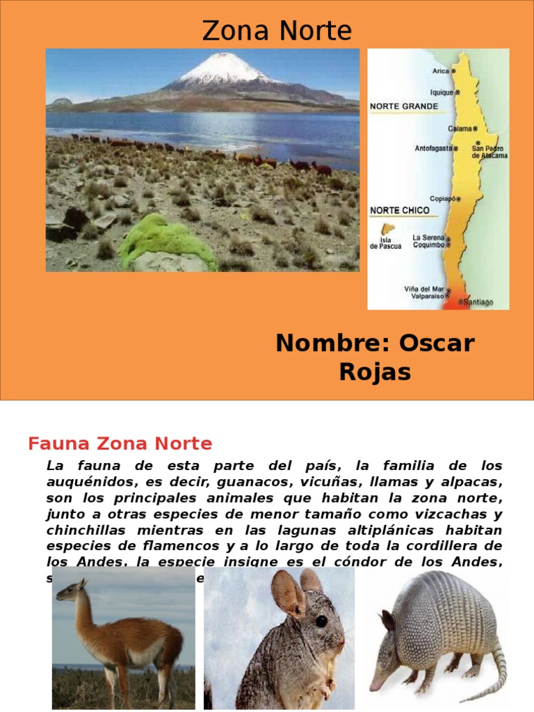 Fauna, Flora y Cultura de Zona Norte | PDF | Ropa | Guitarras