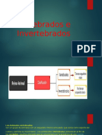 Vertebrados e Invertebrados