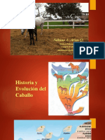 Historia y Evolución Del Caballo