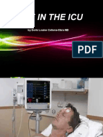 Lecture I Life in the Icu