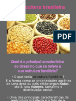 A Agricultura Brasileira I