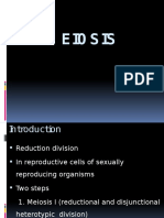 Unit 9 Meiosis