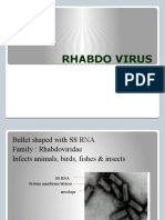 #Rhabdo Virus#