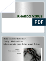 Rhabdo Virus