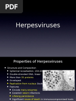 Herpes Virus